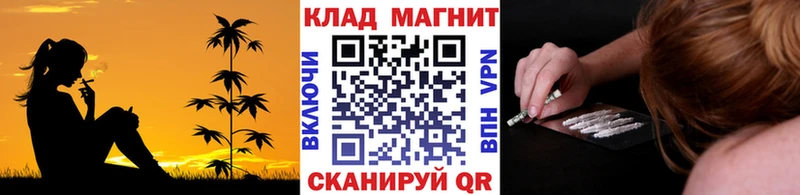 Где купить наркоту Новая Ляля COCAIN МЕФ ГАШИШ АМФ МАРИХУАНА