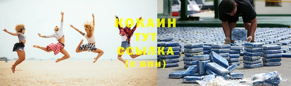 прущие грибы Покров