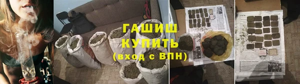 гашик Алексин