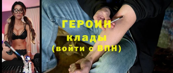 гашик Алексин