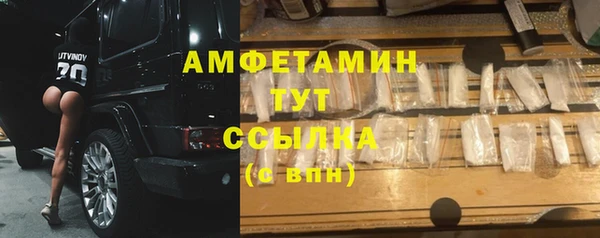 гашик Алексин