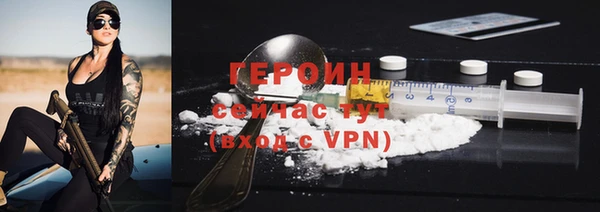 гашик Алексин