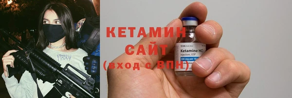 гашик Алексин
