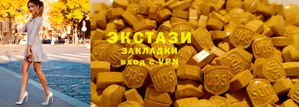гашик Алексин
