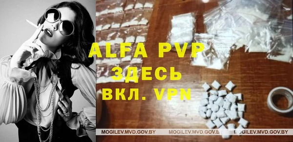 ECSTASY Покачи