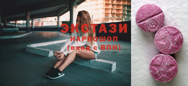 гашик Алексин